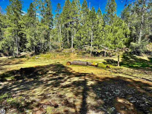 LOT 22 COMSTOCK RANCH, SONORA, CA 95370, photo 3 of 32