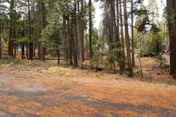 LOT 108 LASSEN DRIVE, COLD SPRINGS, CA 95335, photo 4 of 20