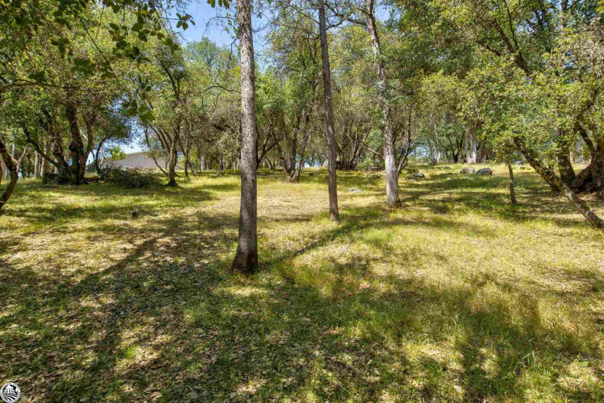 LOT 106 APPLE VALLEY DRIVE, SONORA, CA 95370, photo 1 of 7
