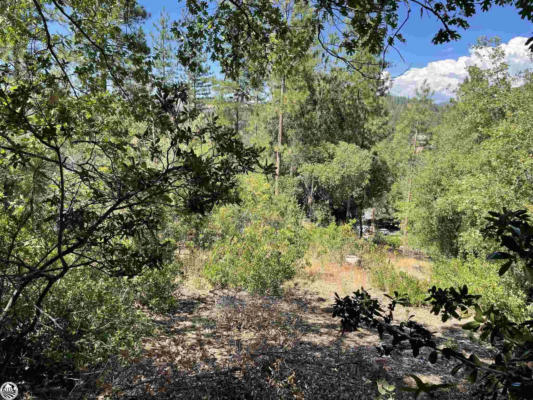 LOT 76 SKYLINE DRIVE, TUOLUMNE, CA 95379 - Image 1